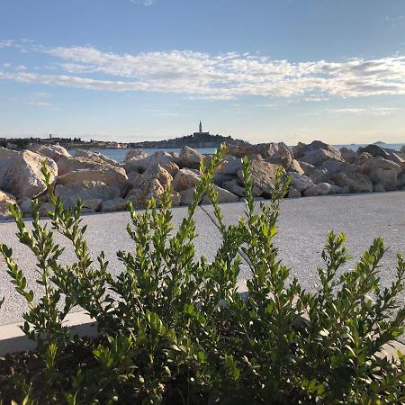 Total Escape Mobile Home Nera Camp Porton Biondi Rovinj Exteriér fotografie